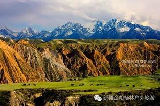 那拉提明星网红,揭秘新疆草原的明星魅力