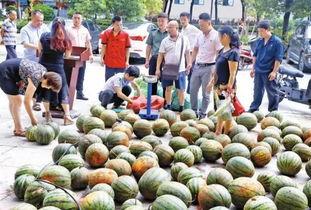 海角吃瓜黑料社区,网络舆论场中的暗流涌动