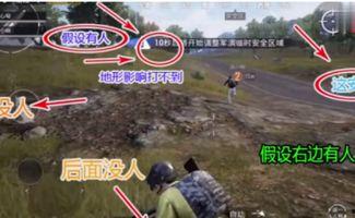 和平精英吃瓜爆料q区,揭秘游戏幕后那些事儿