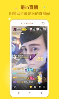 直播明星网红美食视频,美食视频背后的美食江湖