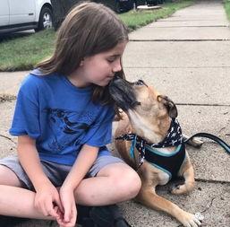 小明星网红狗狗图片,萌态可掬的瞬间捕捉