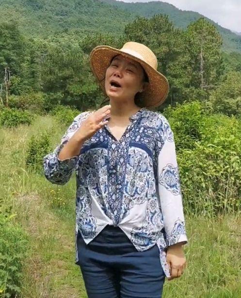 大理明星网红有谁啊,网红打卡地背后的明星身影