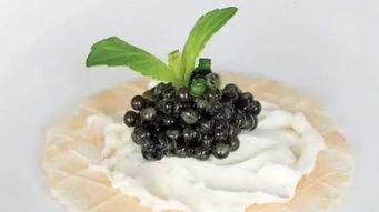 吃瓜的沐桐黑料,那些不为人知的黑料真相