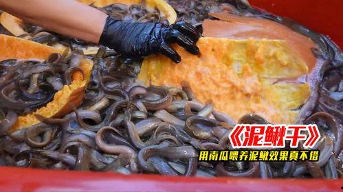 沉香吃瓜爆料视频大全集