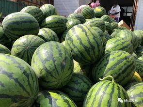 砀山最新吃瓜爆料新闻视频,视频揭秘惊人内幕！