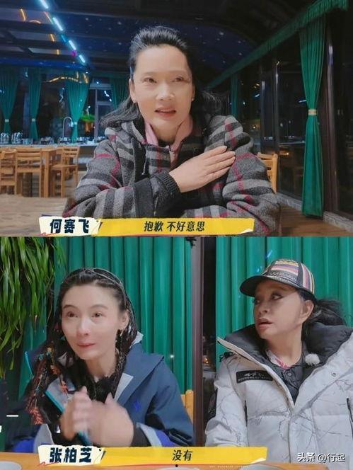 明星网红道歉认错视频,真诚认错，重塑形象之路