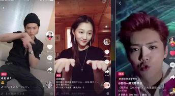 明星网红唱法视频大全,风格各异，精彩纷呈