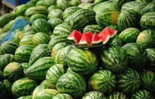 黑料吃瓜在线吃瓜朱馨宇,揭秘朱馨宇背后的真实故事