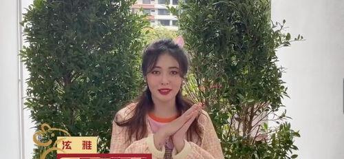 明星网红滤镜调色视频,明星网红滤镜视频深度解析