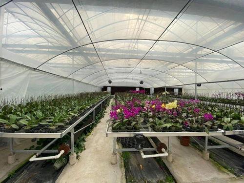 吃瓜群爆料大棚图片大全,吃瓜群爆料图片大全背后的农业奥秘