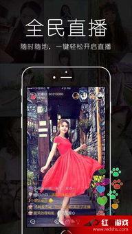 明星网红福利视频软件,热门应用背后的秘密