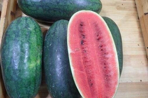 红料不打样黑料吃瓜,揭秘时尚界的色彩秘密