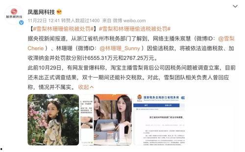 帮明星网红逃税避税