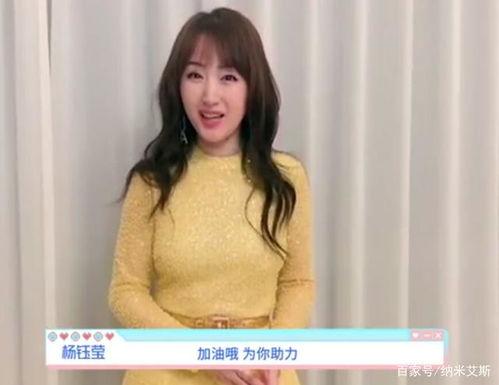 明星网红为莆田加油,明星网红齐聚助力，共筑城市辉煌