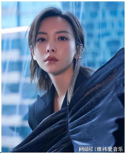 娱乐圈吃瓜于文文